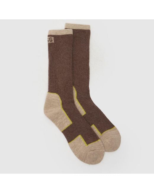 Ugg Brown Lockhart Winter Boot Sock