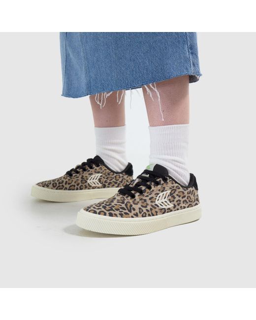 CARIUMA Brown Naioca Trainers