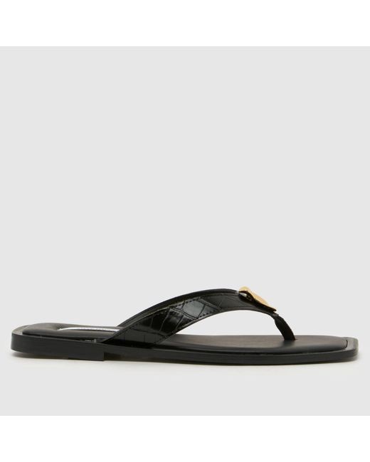 Steve Madden Black Meira Flip Sandals