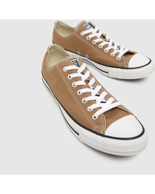 Converse Brown All Star Ox Trainers In for men