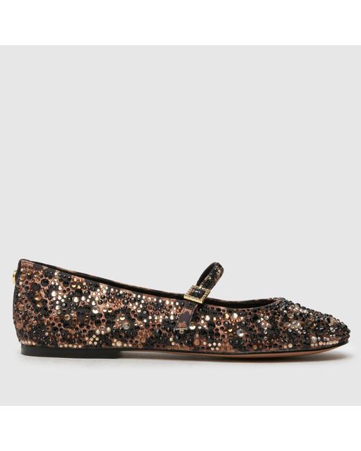 Steve Madden Brown Brissa-R Ballerina Flats