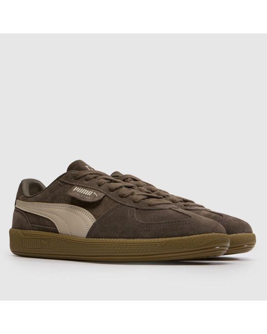 PUMA Brown Palermo Trainers for men