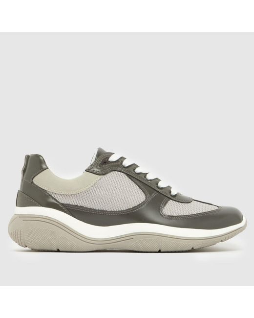 Steve Madden Gray Prevale Trainers for men