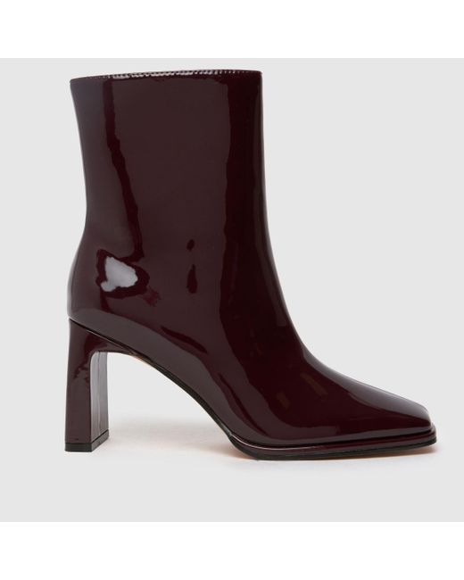 Schuh Brown Becca Ladies Square Toe Heeled Boots