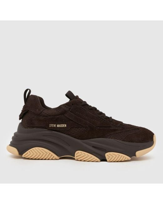 Steve Madden Brown Possess Trainers for men