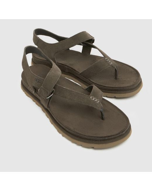 Ugg Brown Goldengaze Toe Post Sandals