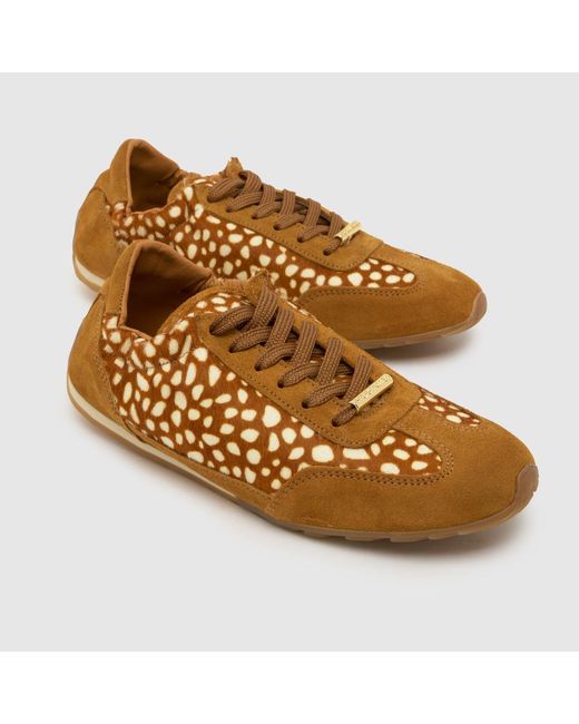 Steve Madden Brown Bobby Trainers