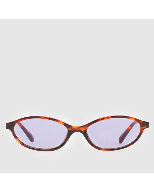Aire Multicolor Earthshine Sunglasses