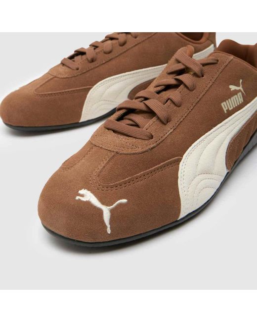 PUMA Brown Speedcat Trainers for men