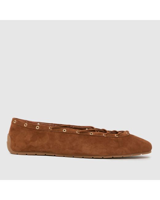 Steve Madden Brown Pointe Ballerina Flats