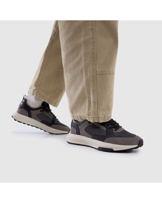 Cruyff Brown Rayado Trainers for men