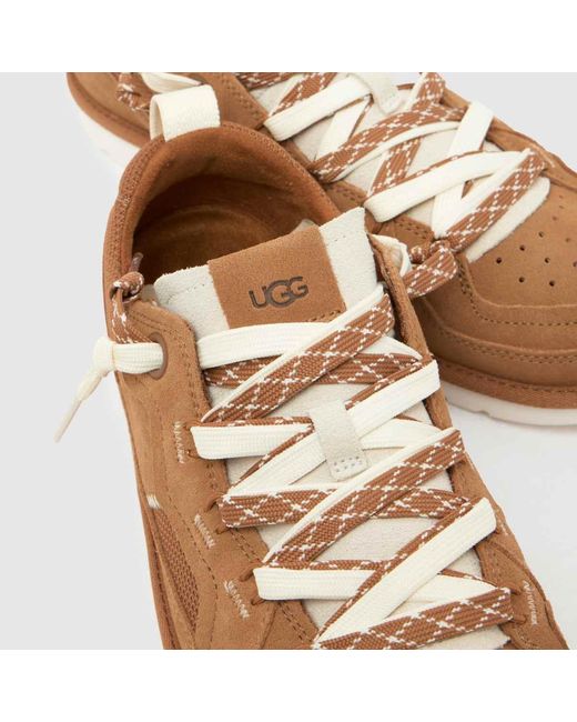 Ugg Brown Minimel Trainers for men