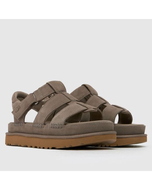 Ugg Brown Goldenstar Strap Sandals