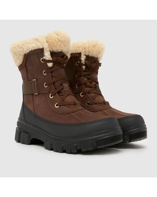 Sorel Brown Torino Parc Boots