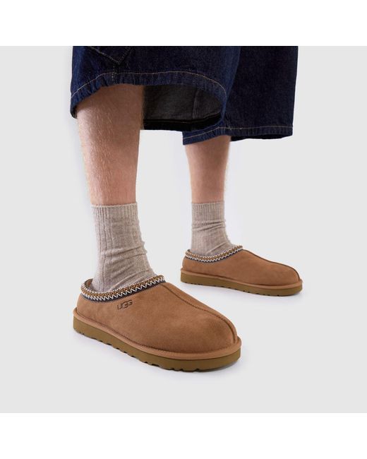 Ugg Brown Tasman Slippers for men