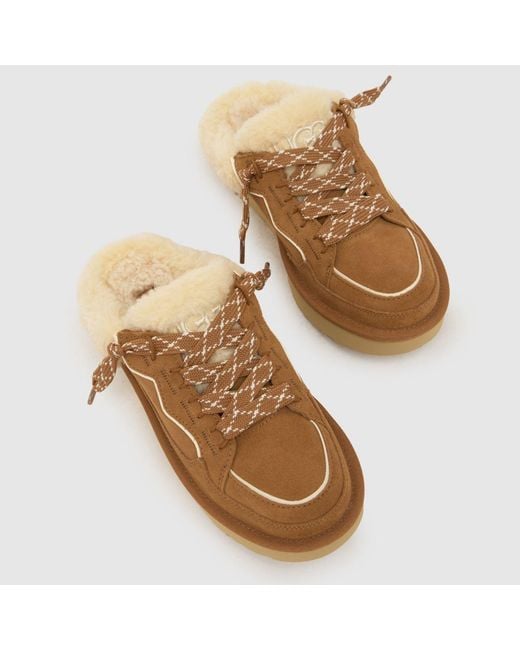 Ugg Brown Lowmel Mule Sandals