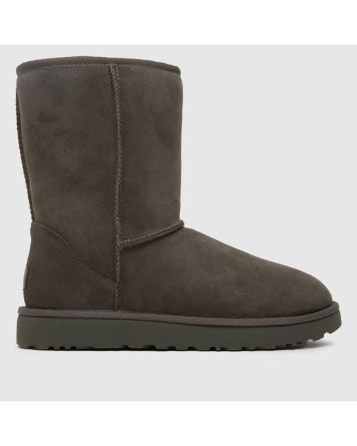 Ugg Brown Classic Short Ii Boots In