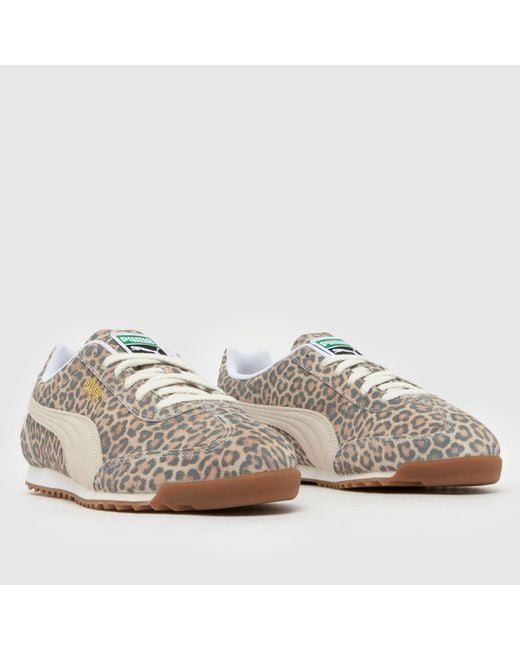 PUMA Multicolor Arizona Trainers