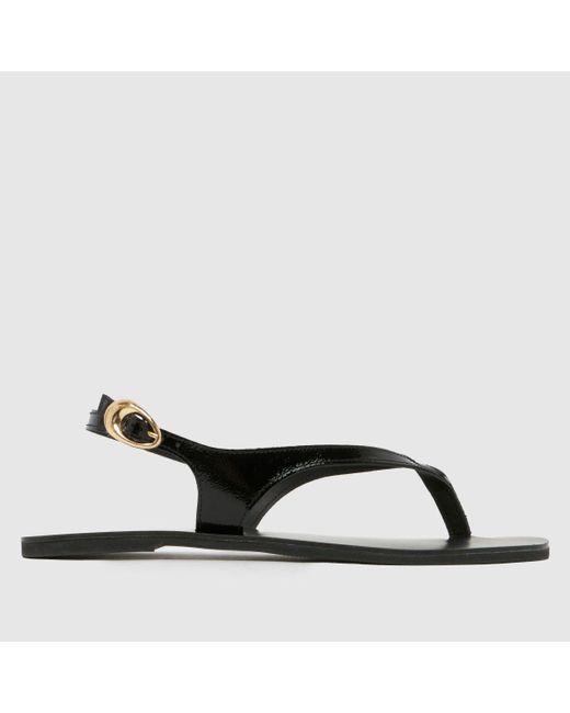 Schuh Brown Townsend Leather Toe Post Sandals