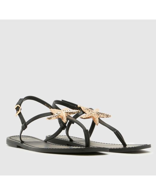 Schuh Black Tove Shell Sandals