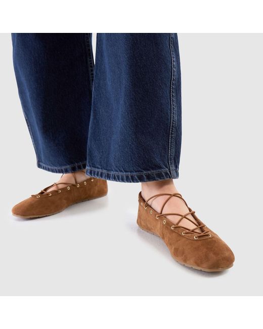 Steve Madden Brown Pointe Ballerina Flats