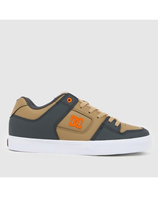 Dc Blue Pure Trainers for men