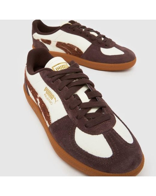 PUMA Brown Palermo Trainers