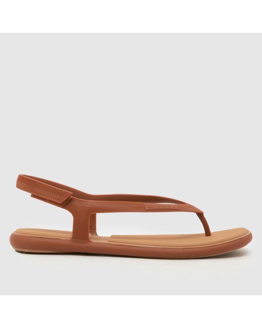 Reef Brown Water Willow Maya Sandals