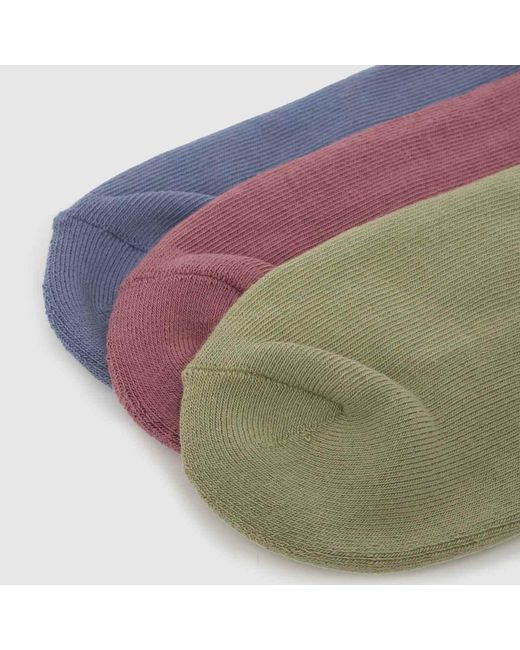 Vans Multicolor Classic Crew Socks 3Pk