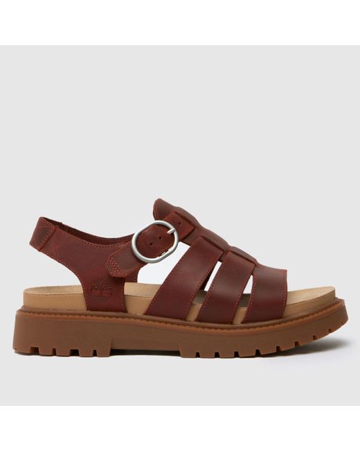 Timberland Brown Clairemont Way Fisherman Sandals In