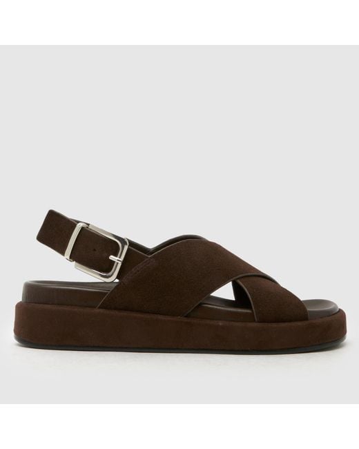 Schuh Brown Tennessee Suede Sandals