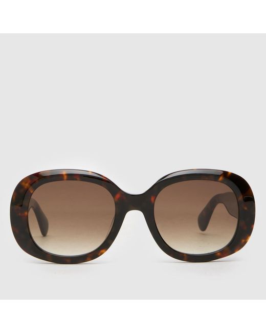 Quay Brown Impromtu Sunglasses