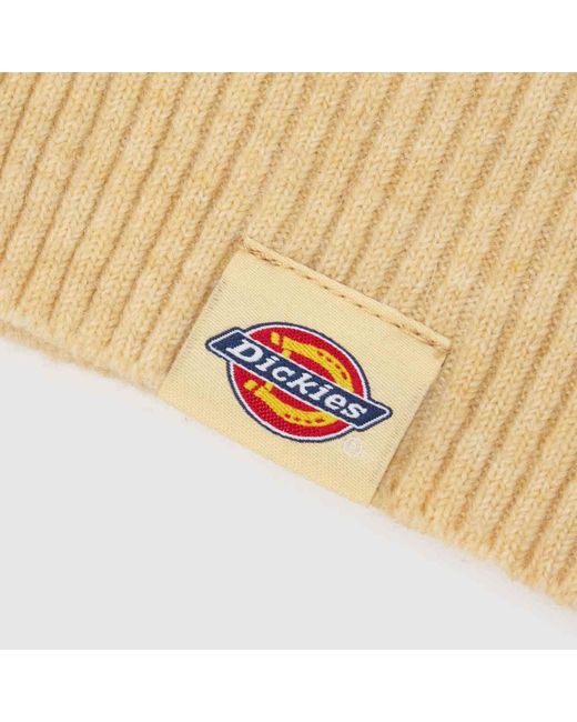 Dickies Natural Knitted Hood