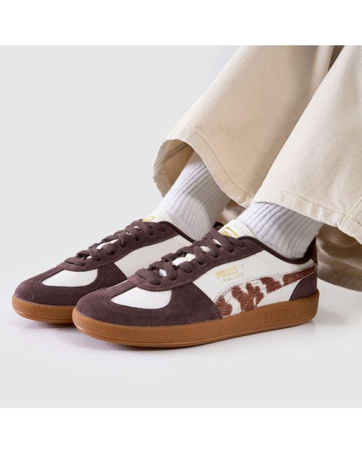 PUMA Brown Palermo Trainers