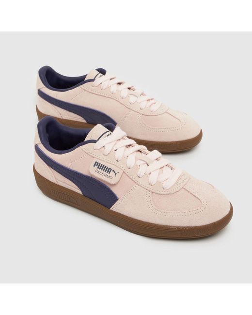 PUMA Multicolor Palermo Trainers