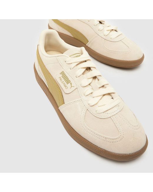 PUMA Natural Palermo Trainers for men