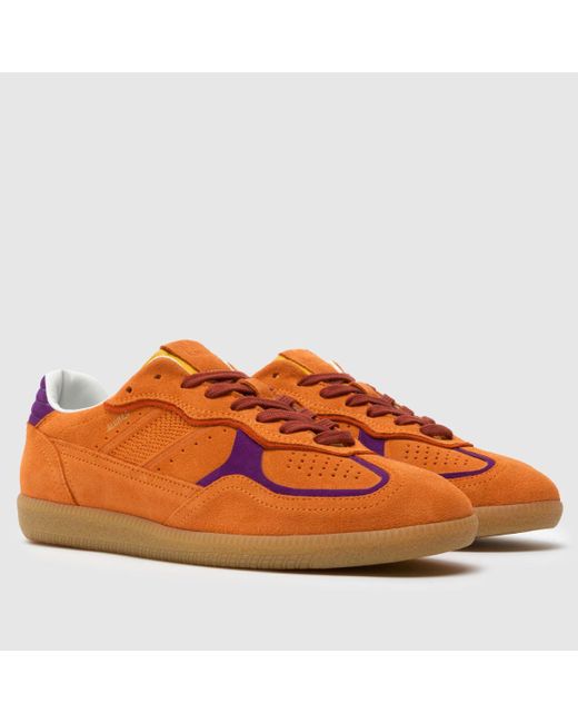 Alohas Brown Tb.490 Rife Trainers