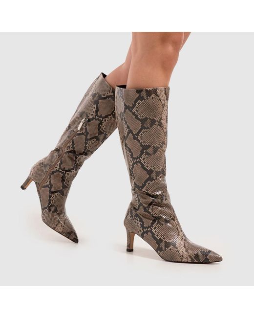 Schuh Brown Dottie Knee High Heel Boots