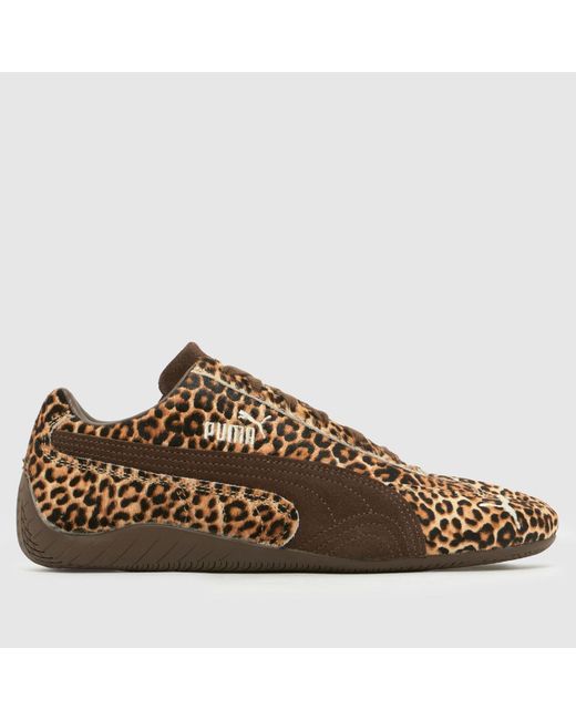 PUMA Brown Speedcat Trainers