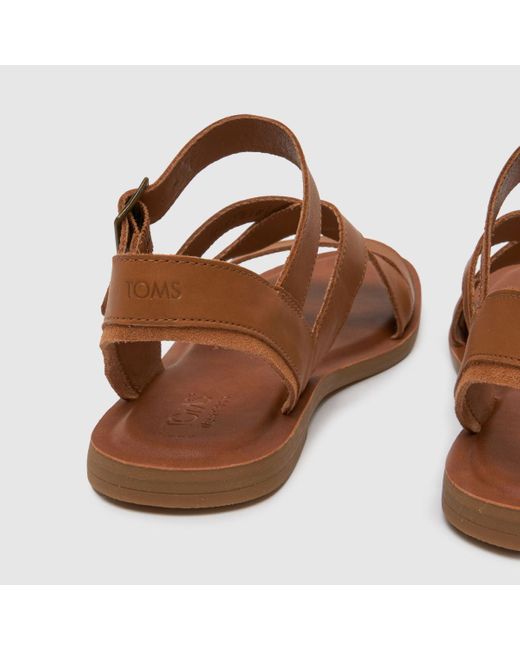 TOMS Brown Sloane Sandals In