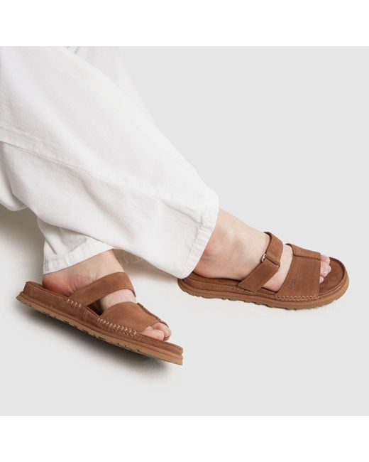 Ugg Brown Goldengaze Slide Sandals