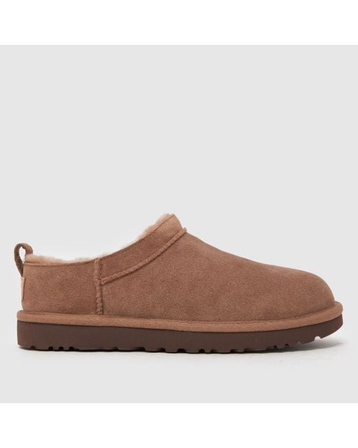 Ugg Brown Classic Micro Boots