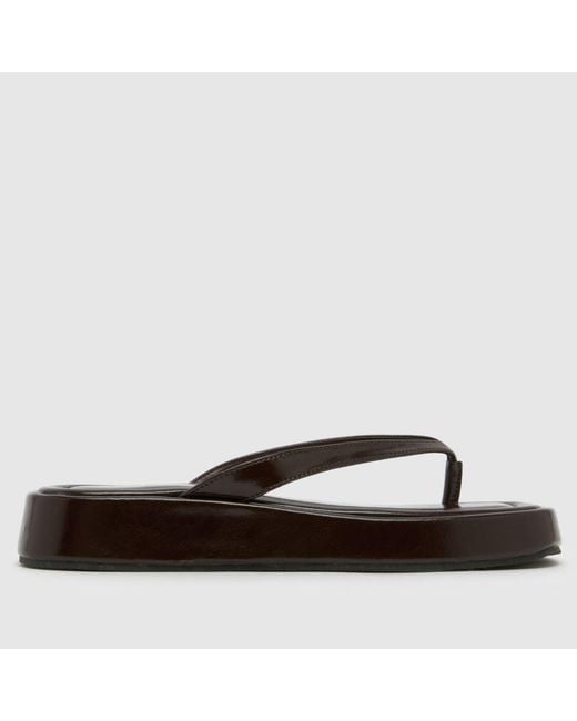 SIMMI Brown Kimmie Platform Flip Sandals