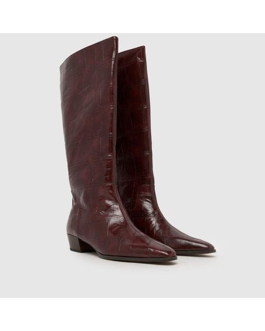Schuh Brown Danika Pixie Boots