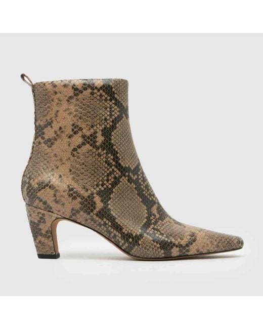Schuh Brown Blakely Point Heel Boots