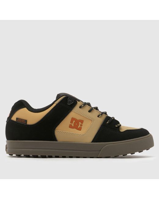 Dc Brown Pure Trainers for men