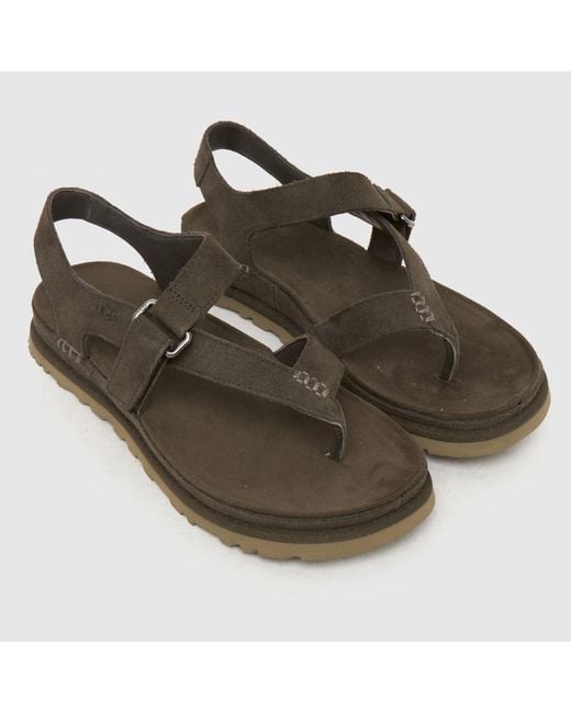 Ugg Brown Goldengaze Toe Post Sandals