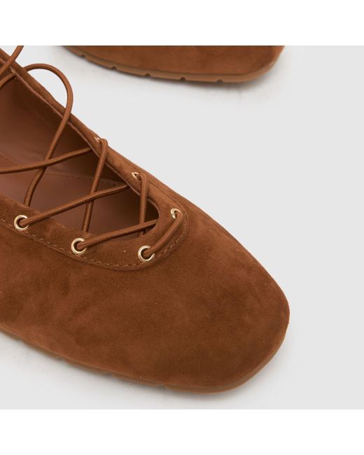 Steve Madden Brown Pointe Ballerina Flats