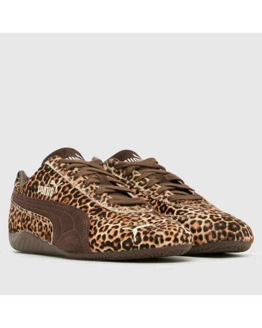 PUMA Brown Speedcat Trainers