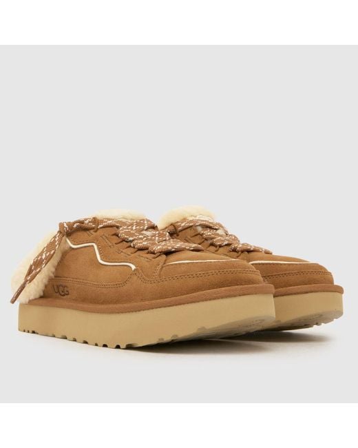 Ugg Brown Lowmel Mule Sandals